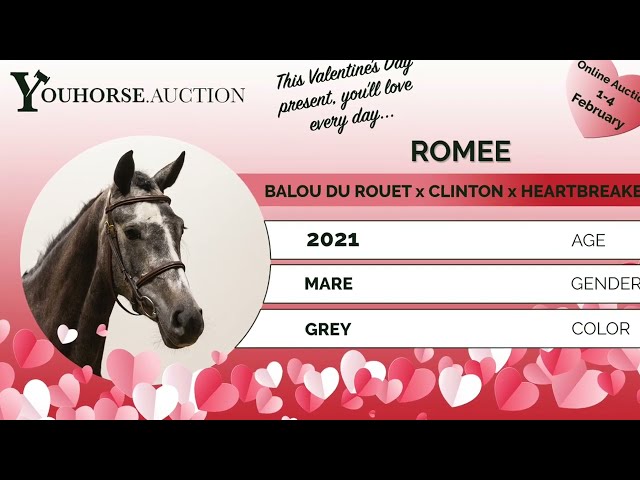 Romee homevideo