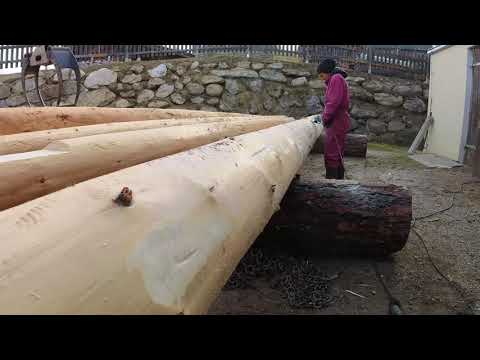 Vom Baum zum (fast fertigen) Carport