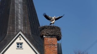 preview picture of video 'Neustadt am Rübenberge - da steckt mehr drin als Du glaubst!'