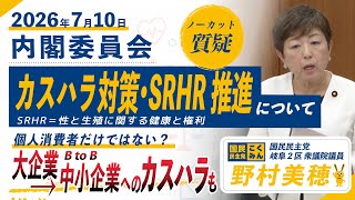 【国民民主党 野村美穂 質疑】26/7/10カスタマーハラスメント対策・SRHR推進について質問しました