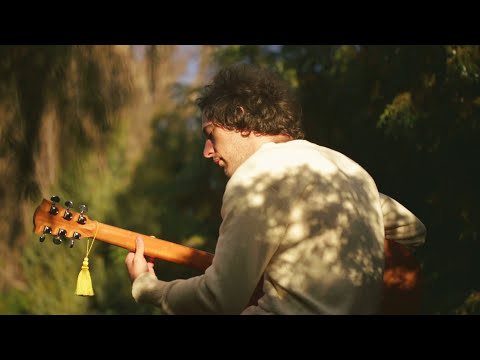 Apricot Eyes - Alan Gogoll