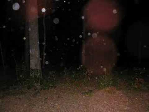 The Haunting of Cold Harbor Battlefield