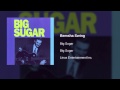 Big Sugar - Bemsha Swing - Best Playlists Ever Big Sugar - Bemsha Swing