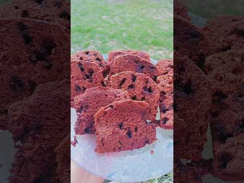 How to Make Chocolate Chip Cake Recipe |yummy and deliouse |Recipe by Shakila's Kitchen #cake #food