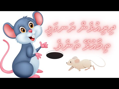 Kudakudhinge Dhivehi Kuru Vaahaka, Short Story “Dhiriulhen rangalhee thimaa ulhey thaneve”.