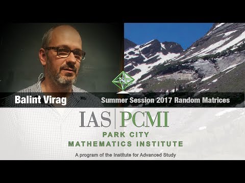 Balint Virag (3.2) Operator limits of random matrices, part 3.2