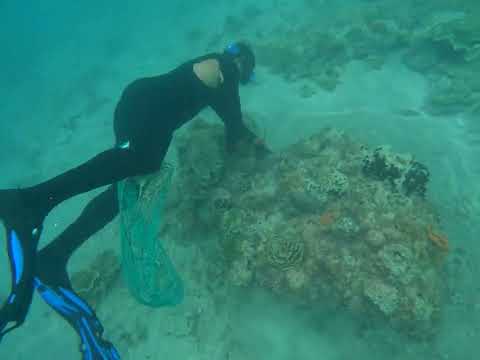 free driving 🦞 mabuiag Island