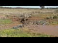 Natural Sequence Farming at Spring Creek, ANU ...