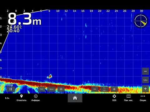 Garmin Panoptix Livescope LVS34: A Game-Changer for Zander Fishing