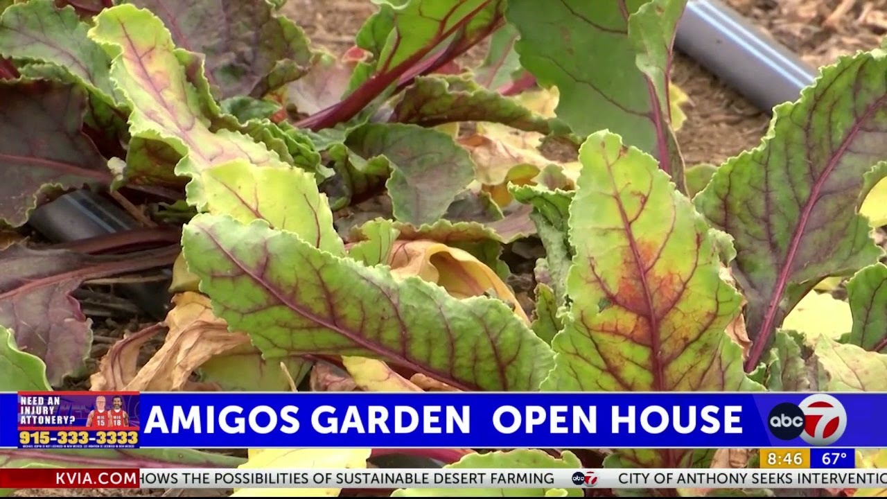 Spring Open House shows the possibilities of sustainable desert farming