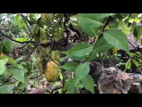 ngày 1 tháng 10, 2023