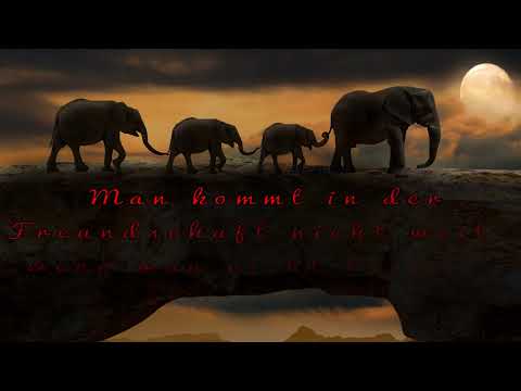 Guten Morgen  raus aus den Federn