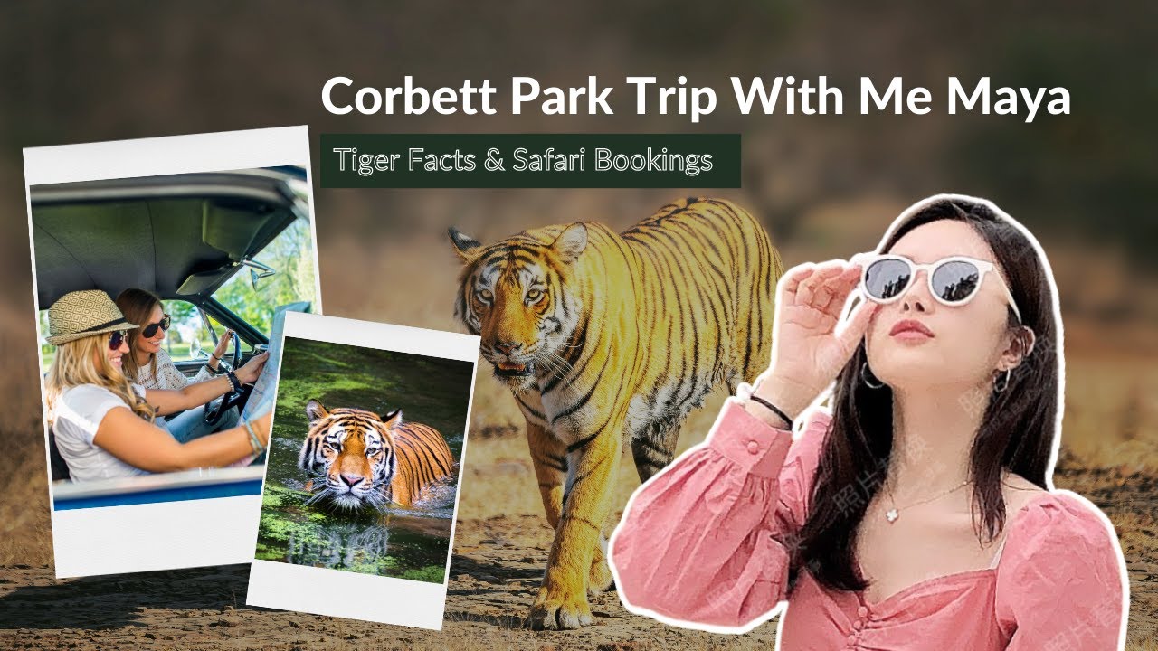 Company video CORBETT NATIONAL PARK TOURISM
