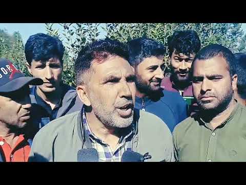 Leopard caught in Nesbal sumbal area of Bandipora District on tuesday by wildlife Department.