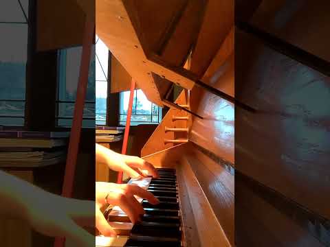 Du Morgenstern, du Licht vom Licht EG 74/Ihr lieben Christen, freut euch nun EG 6 #shorts