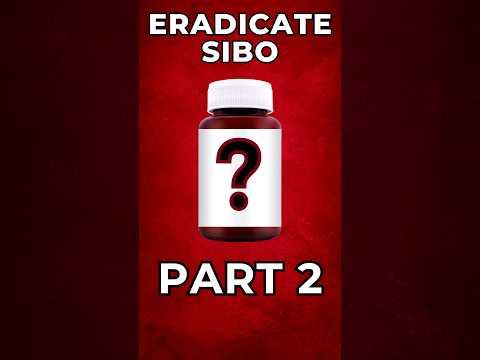 3 Nährstoffe zur Behebung von SIBO