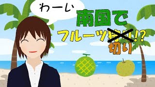 【第2回V-1】南国といえばフルーツ！【日出いろは】【Vtuber】