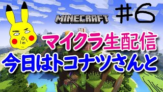 #006 マイクラ初心者、エンダードラゴン討伐までの記録。