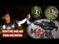 Hunting Ruak Ruak At Night Lots Of Points Very Satisfying WEST KALIMANTAN