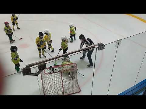 2023.03.12. Veszprém U8 sárga Vua Pandák - Ajkai Óriások 1.