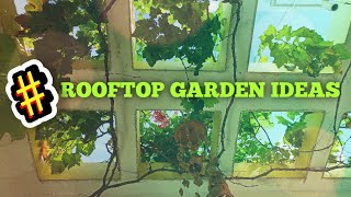 preview picture of video 'Rooftop Vegetable garden in Kovilpatti tuticorin tamilnadu'