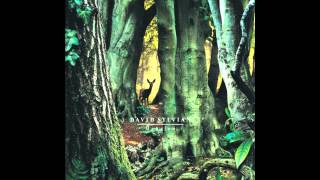 David Sylvian -Snow White in Appalachia ( Remixed by Modesto Muñiz)