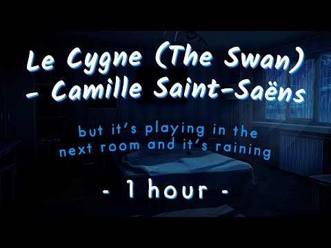 it's raining outside and The Swan by Saint-Saëns is playing in the next room (1 hour sleep/study)