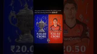 Pat Cummins IPL Auction 2024 | IPL Auction | IPL 2024 Auction | #ipl2024 #iplauction #shorts