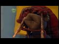 Perfectly Cut Screams From Nev The Bear