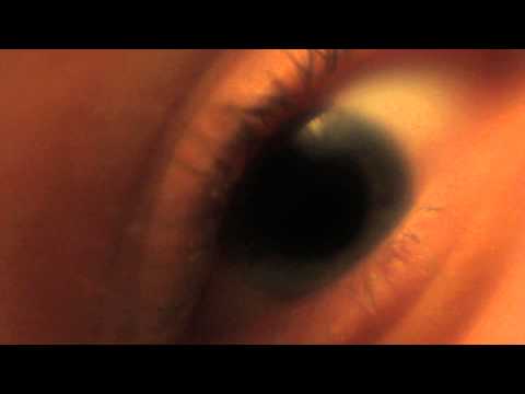 Slighter & Simon Latham - "Deadly" (Official Video)