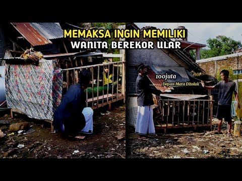 berawal dari mimpi berjodoh dgn wanita cantik berekor ular - siluman ular