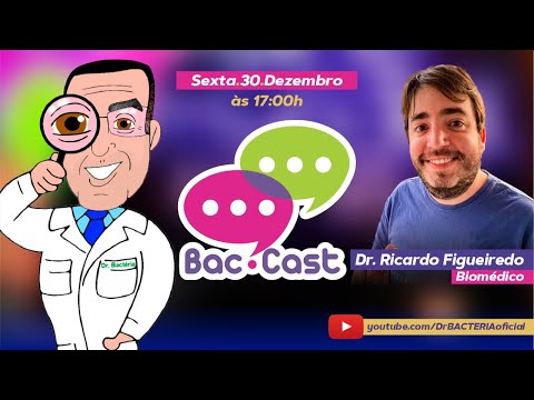 Bac-cast  Dicas de viagens:  Disney World!