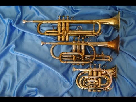 Comparison: Pocket Trumpet, Bb Trumpet and Cornet