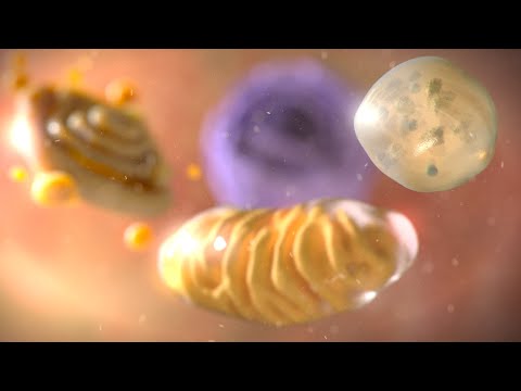 8 Best 3D Medical Animation Services in 2023 8 Best 3D Medical Animation Services in 2023