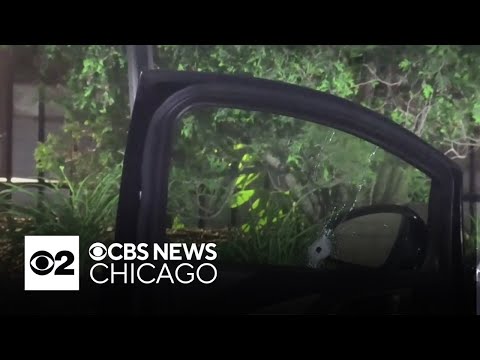Man shot on Dan Ryan Expressway near Chicago