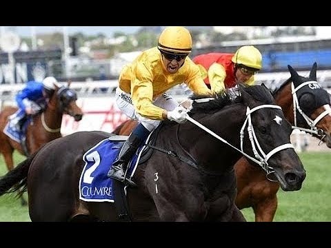 2014 Coolmore Stud Stakes (Ascot Vale Stakes) G1 - Brazen Beau (黃銅公子) - J.Moreira