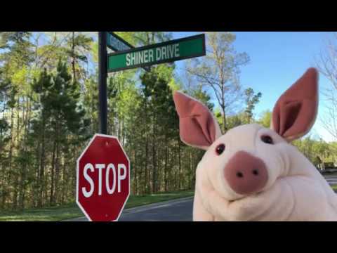 Pig and Narrator talk about street names. (SDH Close Captioned)