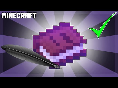 MINECRAFT | How to Write in a Book! 1.16.4