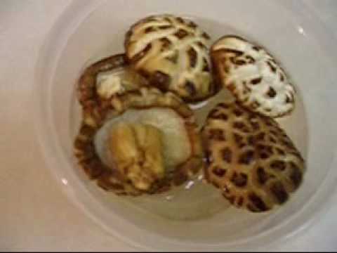 How to cook dried shiitake mushrooms Tutorial and Review
