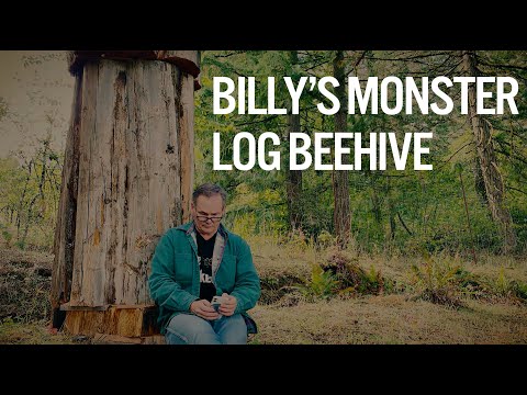 Billy's MONSTER log beehive