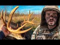 I Hunted The Biggest Deer Of My Life