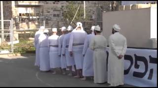 הדגמה של קורבן פסח