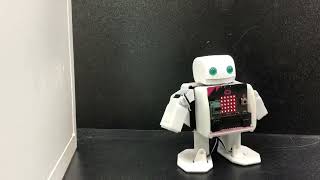 書籍に掲載の距離センサーを使った歩行にチャレンジしました！