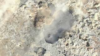 Tough Mama - Grateful Dead and Jerry Garcia Cover Band with Improvisational guitar solos