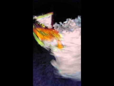 Capra din bartasesti a lu buliche