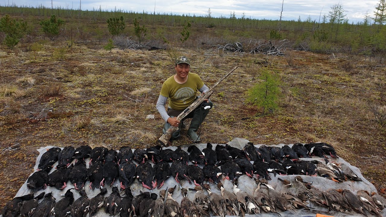 2 серия Охота на утку (турпан) в Якутии