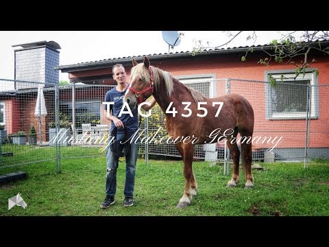 Neuer Mustang, neues Abenteuer | Mustang Makeover Germany mit Luuk Teunissen