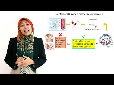 2021 3MT International Level - Diana Suhaiza Said