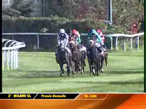 21/10/2012, Milano , Premio Dormello