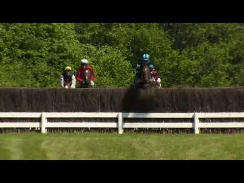 Lopp 5, 19 juni 2021 - Strömsholm